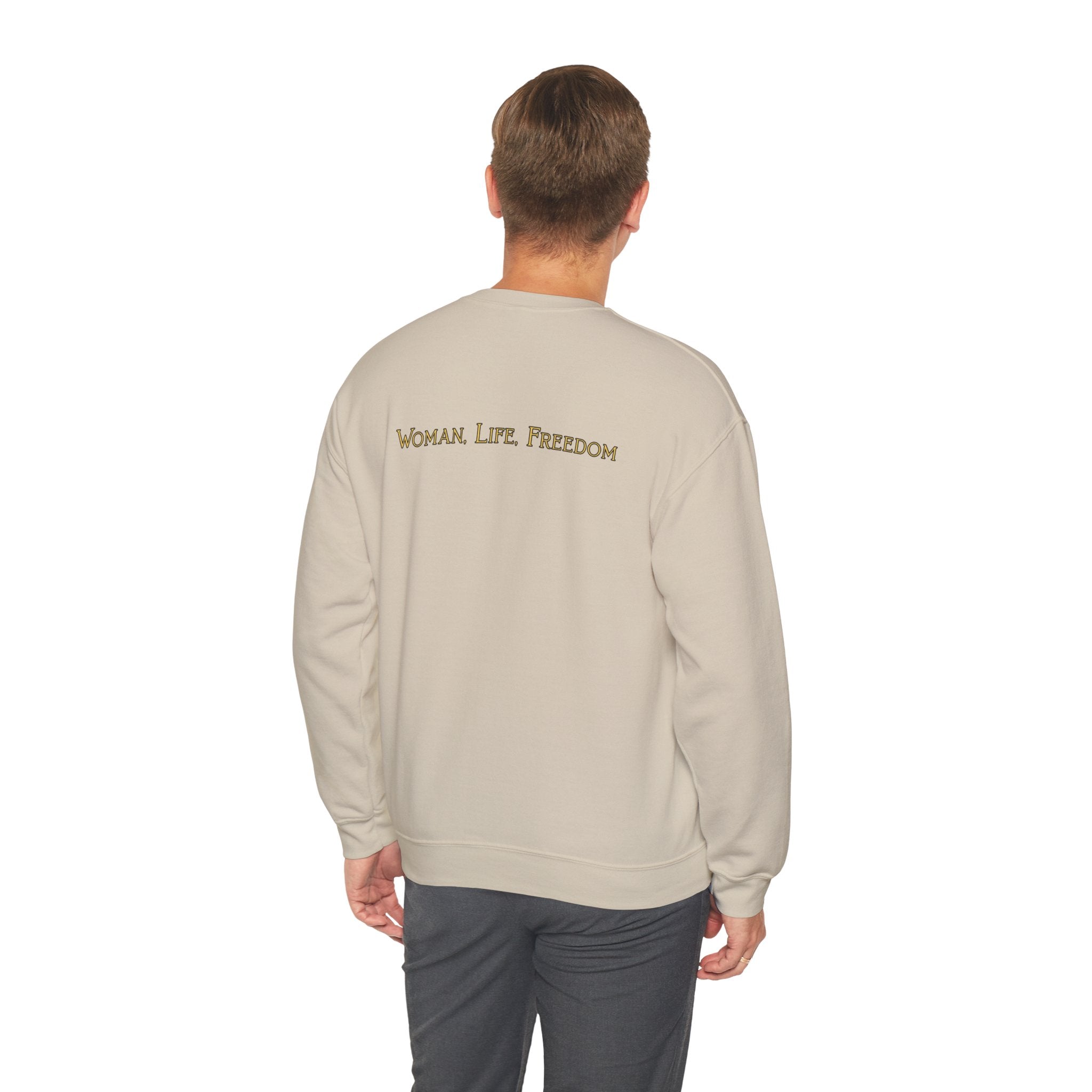 Woman Life Freedom Lion of Persia Sweatshirt, Iran Crest Crewneck, Feminist Protest Sweatshirt Gift