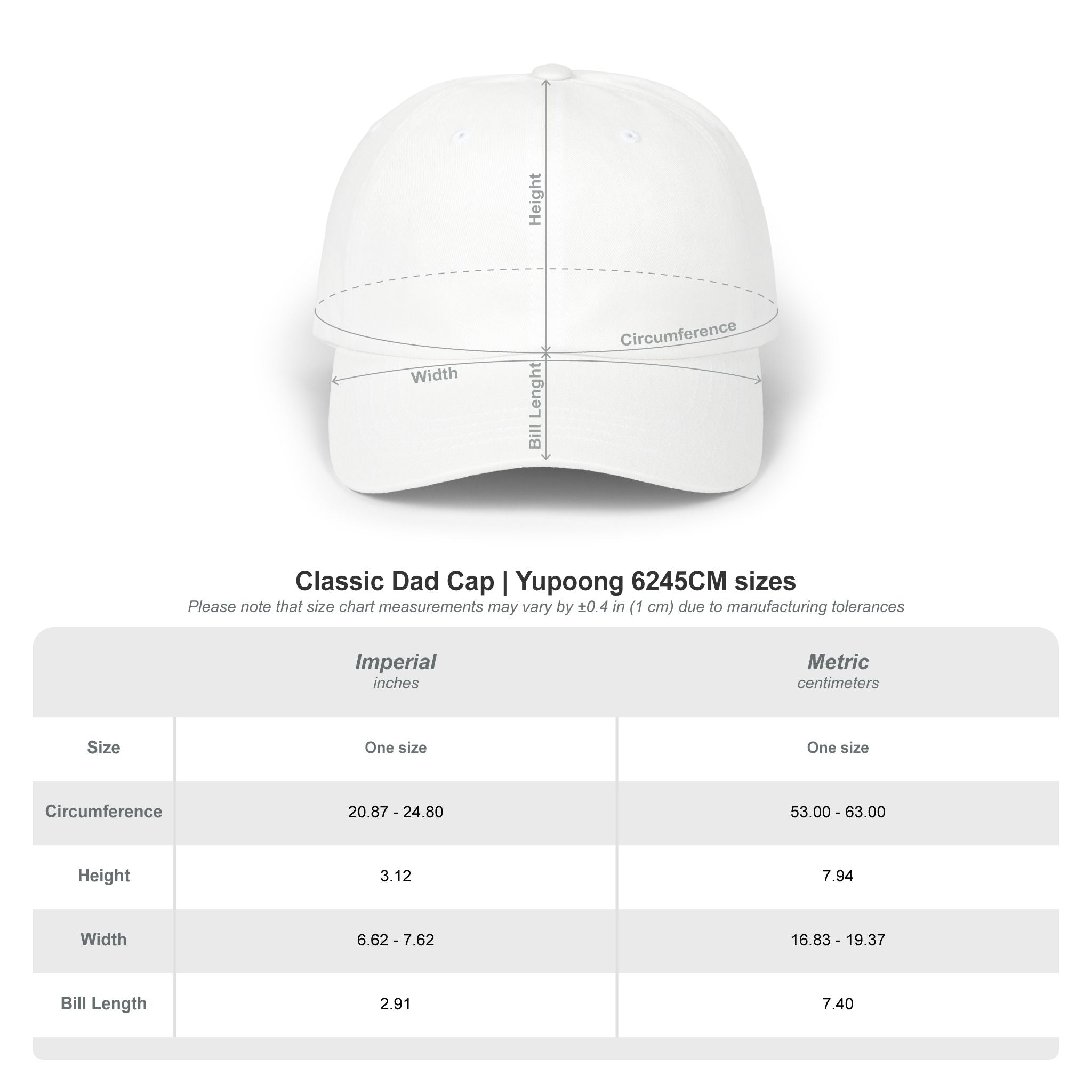 LChaim Dad Hat Embroidered, Jewish LChaim Baseball Cap, Hebrew To Life Hat, Jewish Gift for Him