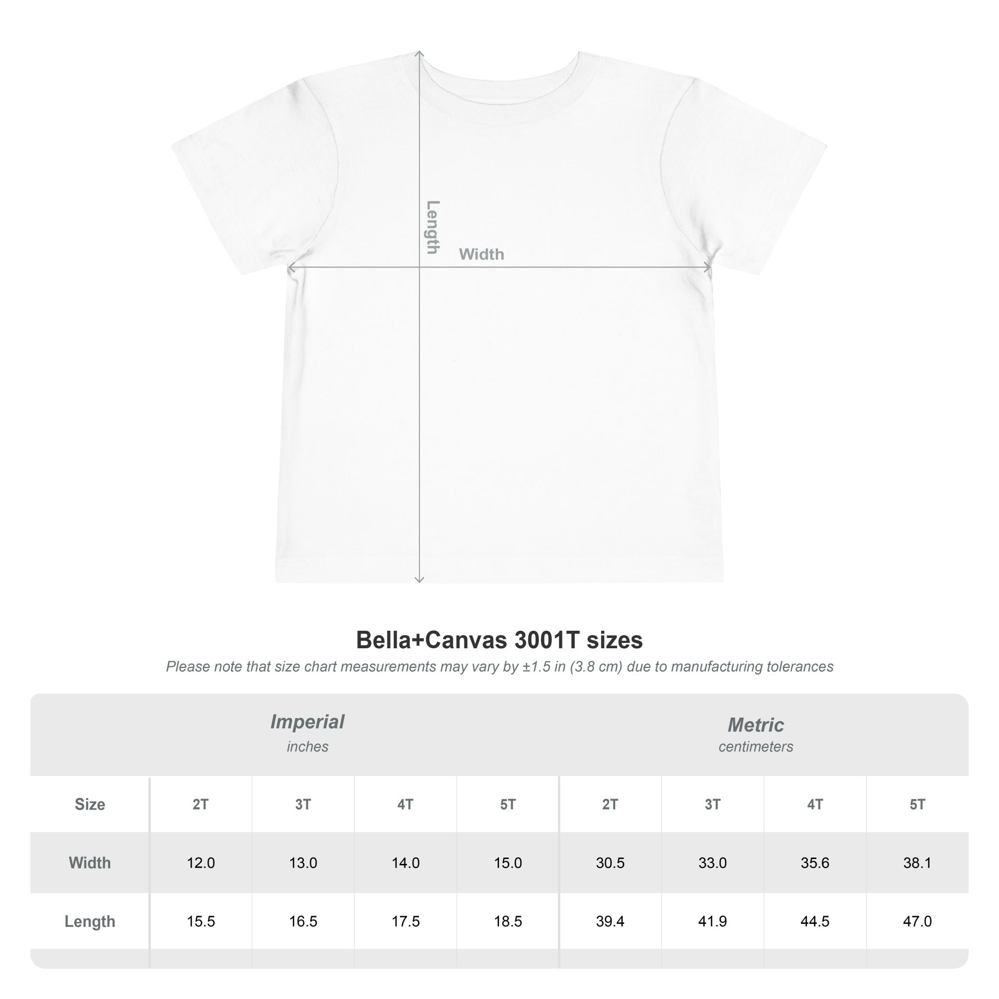 Afikomen Hunter Toddler T Shirt, Passover Kids Shirt Bella Canvas 3001T, Pesach Seder Outfit, Jewish Holiday Kids Gift