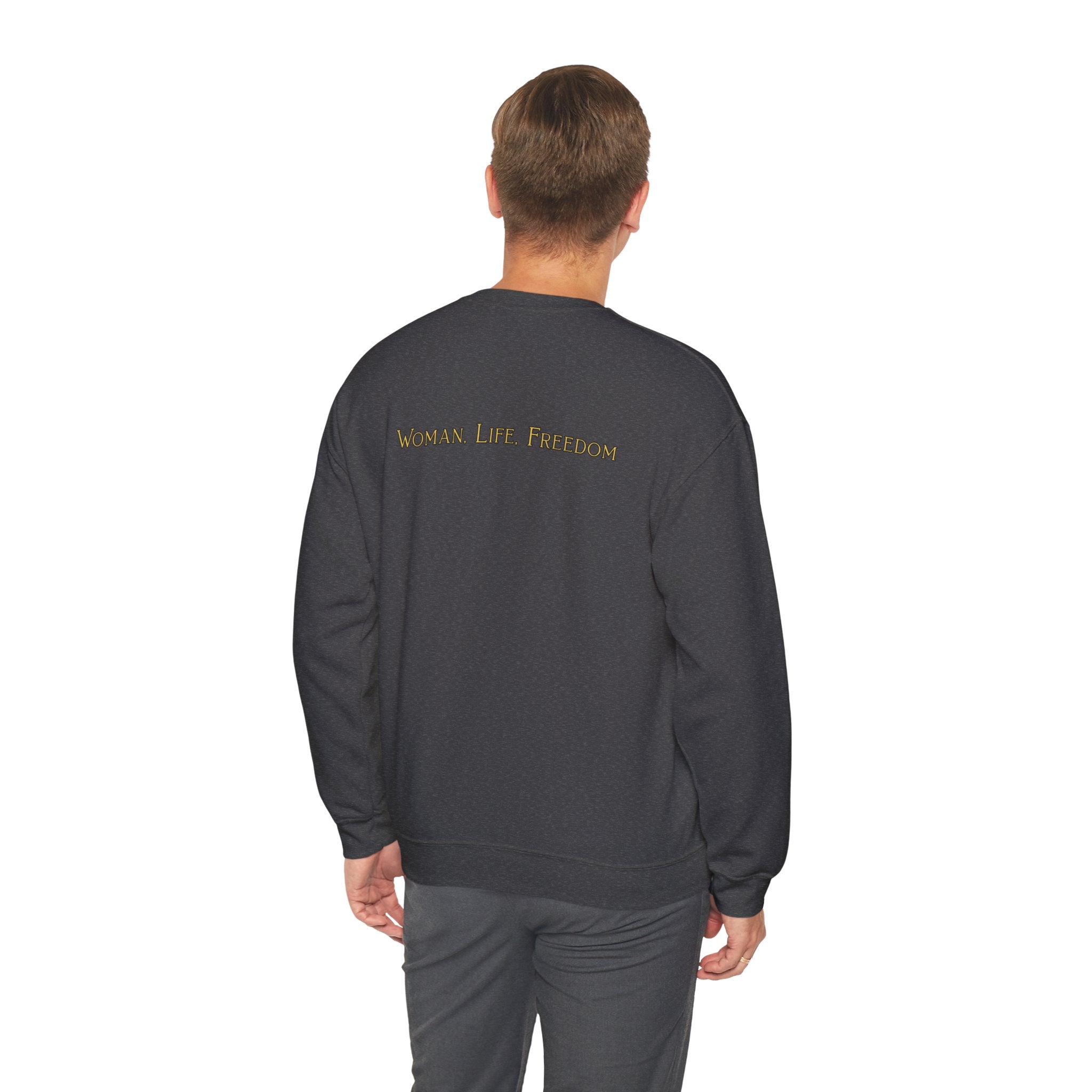 Woman Life Freedom Lion of Persia Sweatshirt, Iran Crest Crewneck, Feminist Protest Sweatshirt Gift