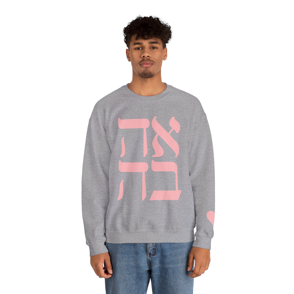 Ahava Sweatshirt in Hebrew | Embroidered Love Crewneck, Jewish Valentine Gift for Her, Tu BAv Cozy Pullover