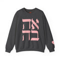 Ahava Sweatshirt in Hebrew | Embroidered Love Crewneck, Jewish Valentine Gift for Her, Tu BAv Cozy Pullover