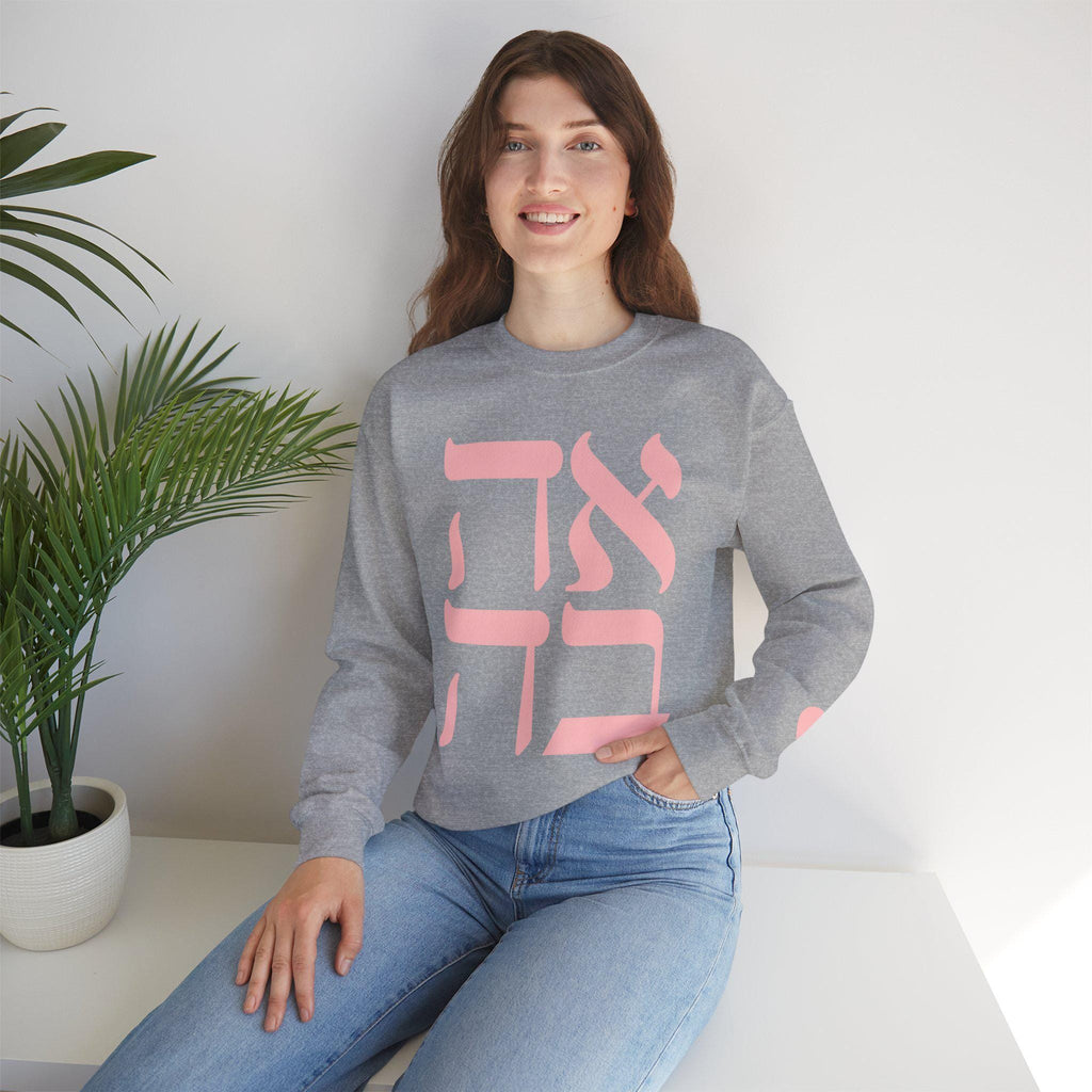 Embroidered Ahava Sweatshirt | Hebrew Love Crewneck, Jewish Gift