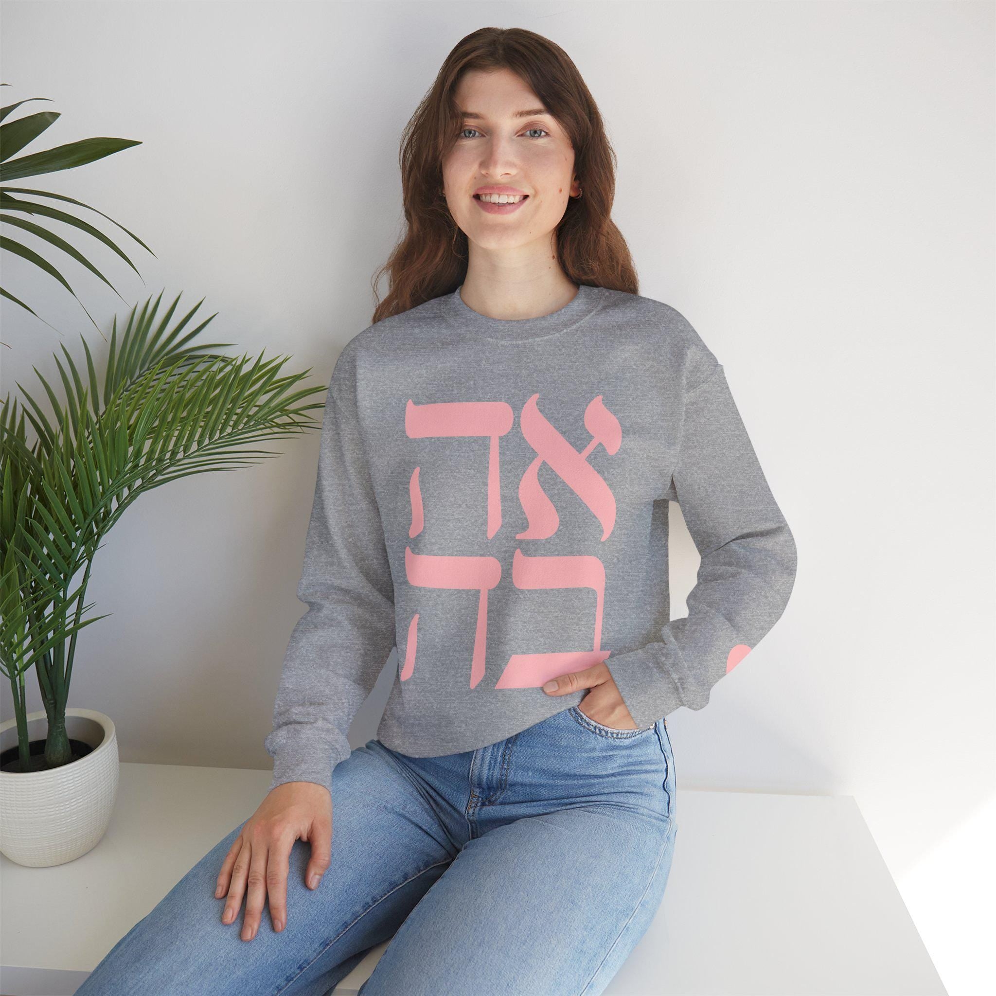 Embroidered Ahava Sweatshirt | Hebrew Love Crewneck, Jewish Gift