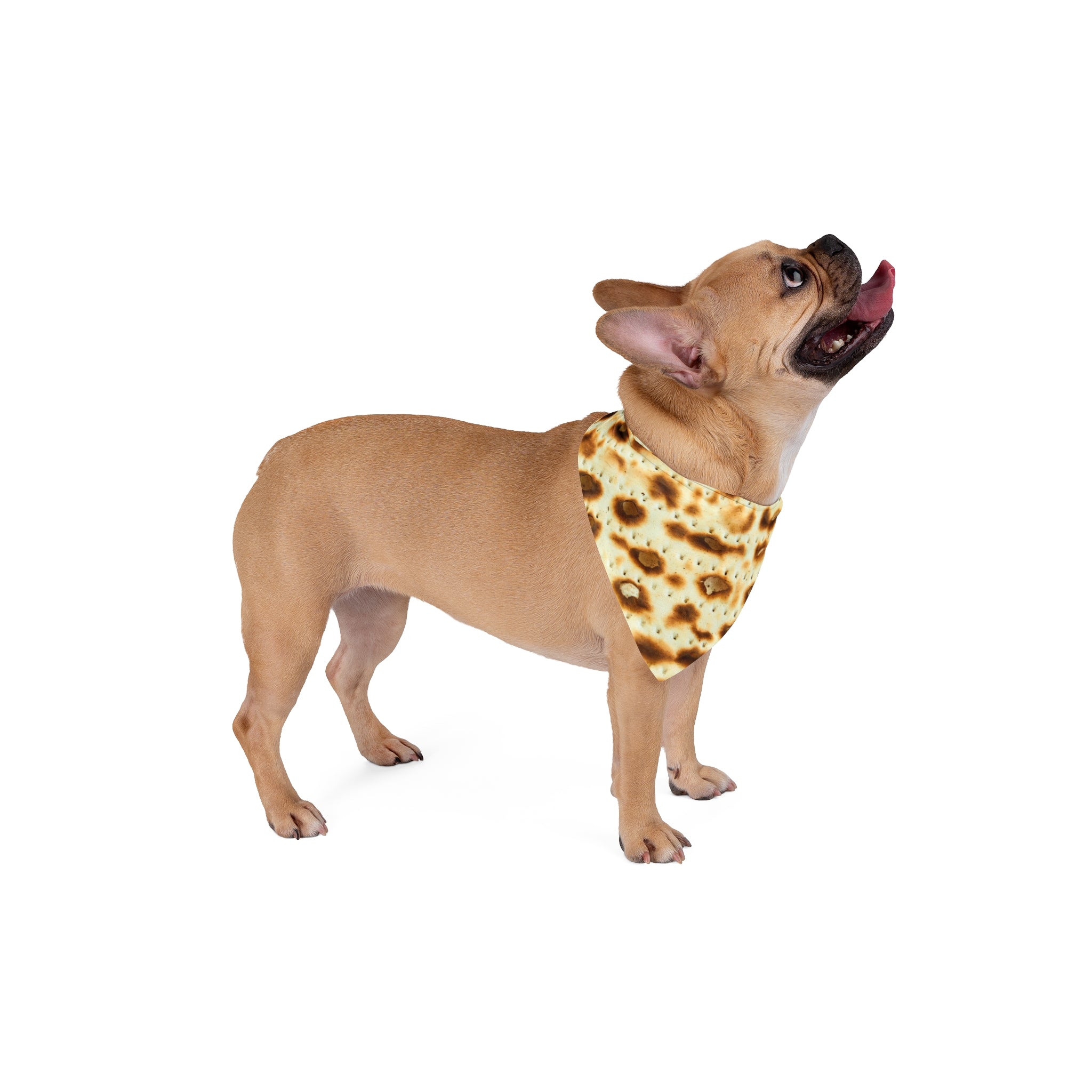 Passover Dog Bandana Matzah Print Pet Scarf, Jewish Holiday Outfit for Dogs, Pesach Gift for Pet Lover