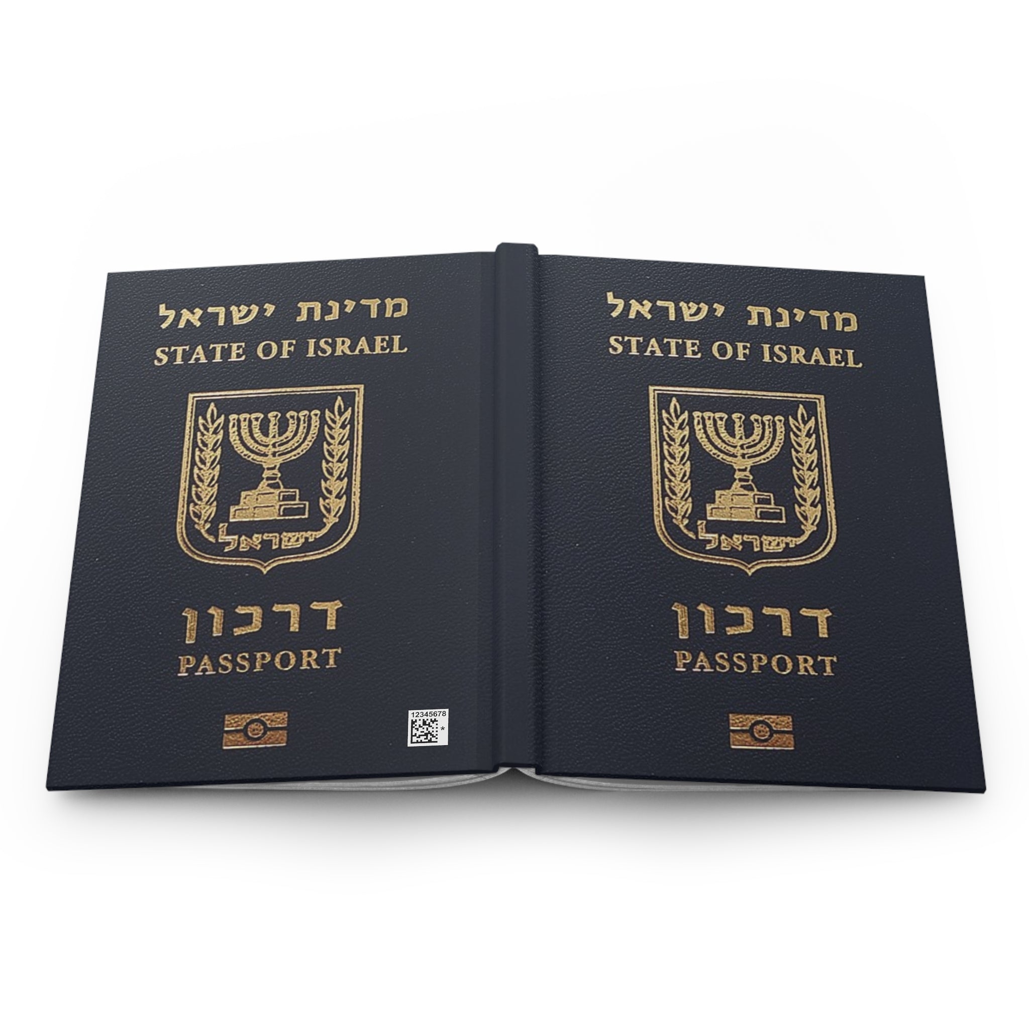 State of Israel Passport Journal Hardcover Notebook, Jewish Travel Diary with 150 Lined Pages