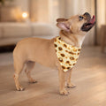Passover Matzah Print Dog Bandana, Jewish Holiday Pet Scarf, Polyester Accessory
