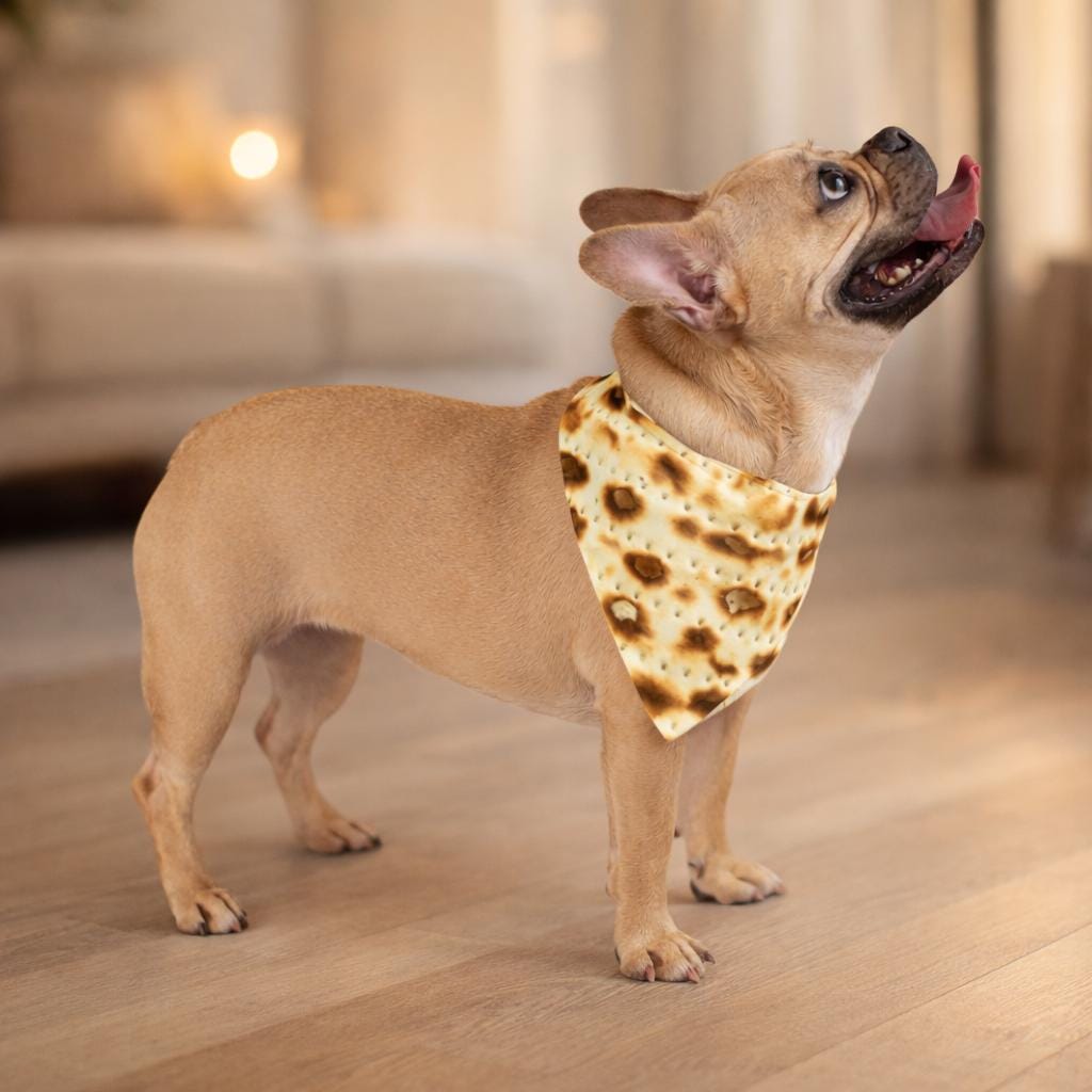 Passover Matzah Print Dog Bandana, Jewish Holiday Pet Scarf, Polyester Accessory