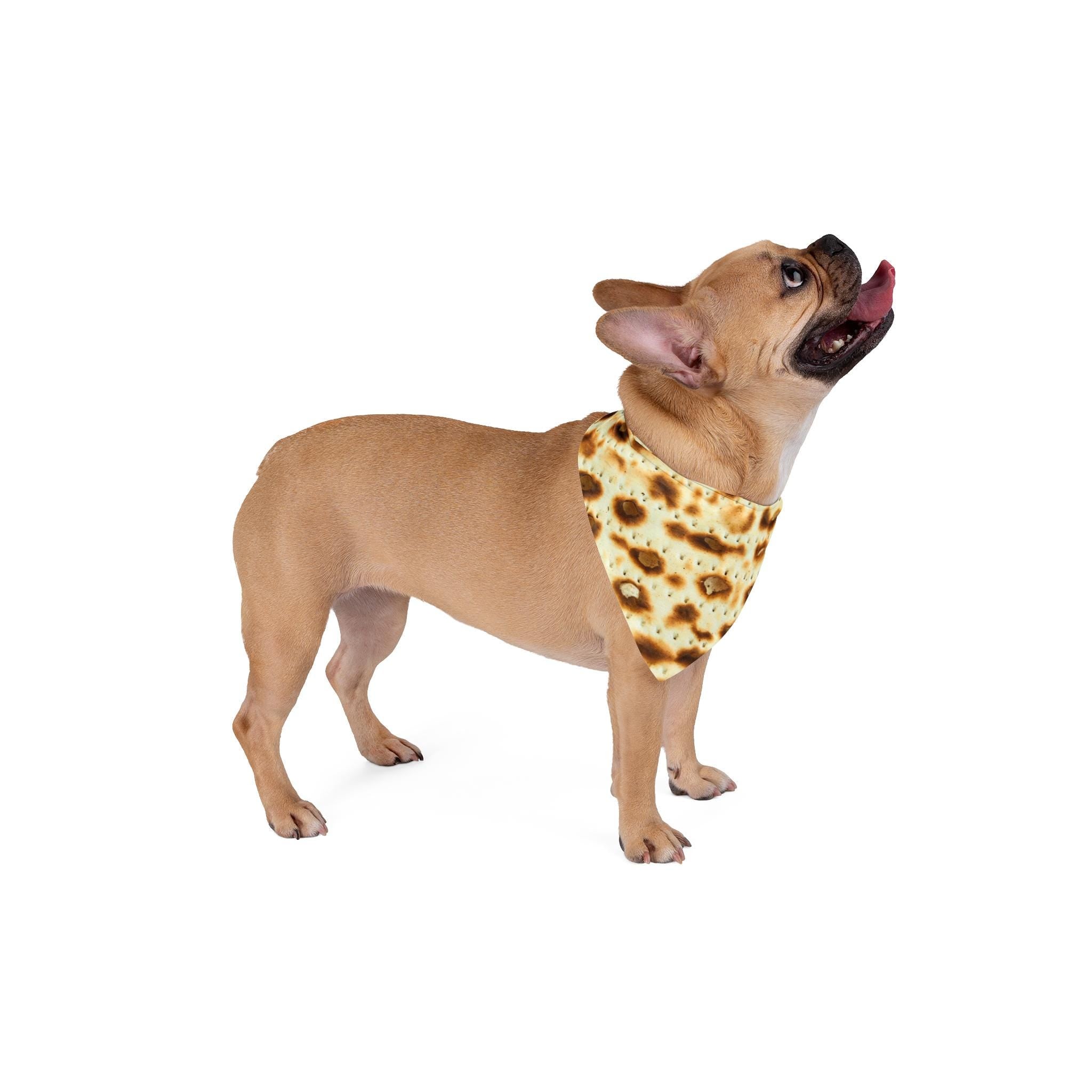 Passover Matzah Print Dog Bandana, Jewish Holiday Pet Scarf, Polyester Accessory