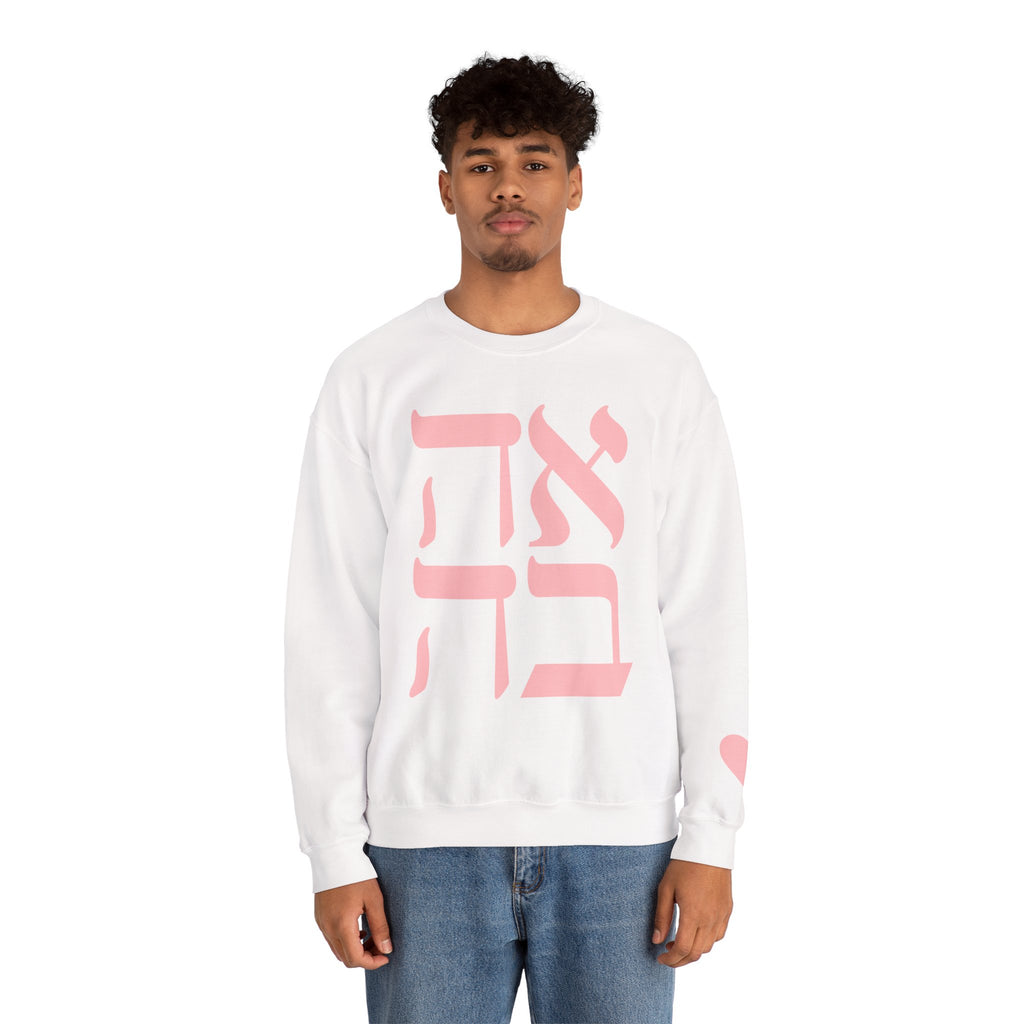 Ahava Sweatshirt in Hebrew | Embroidered Love Crewneck, Jewish Valentine Gift for Her, Tu BAv Cozy Pullover