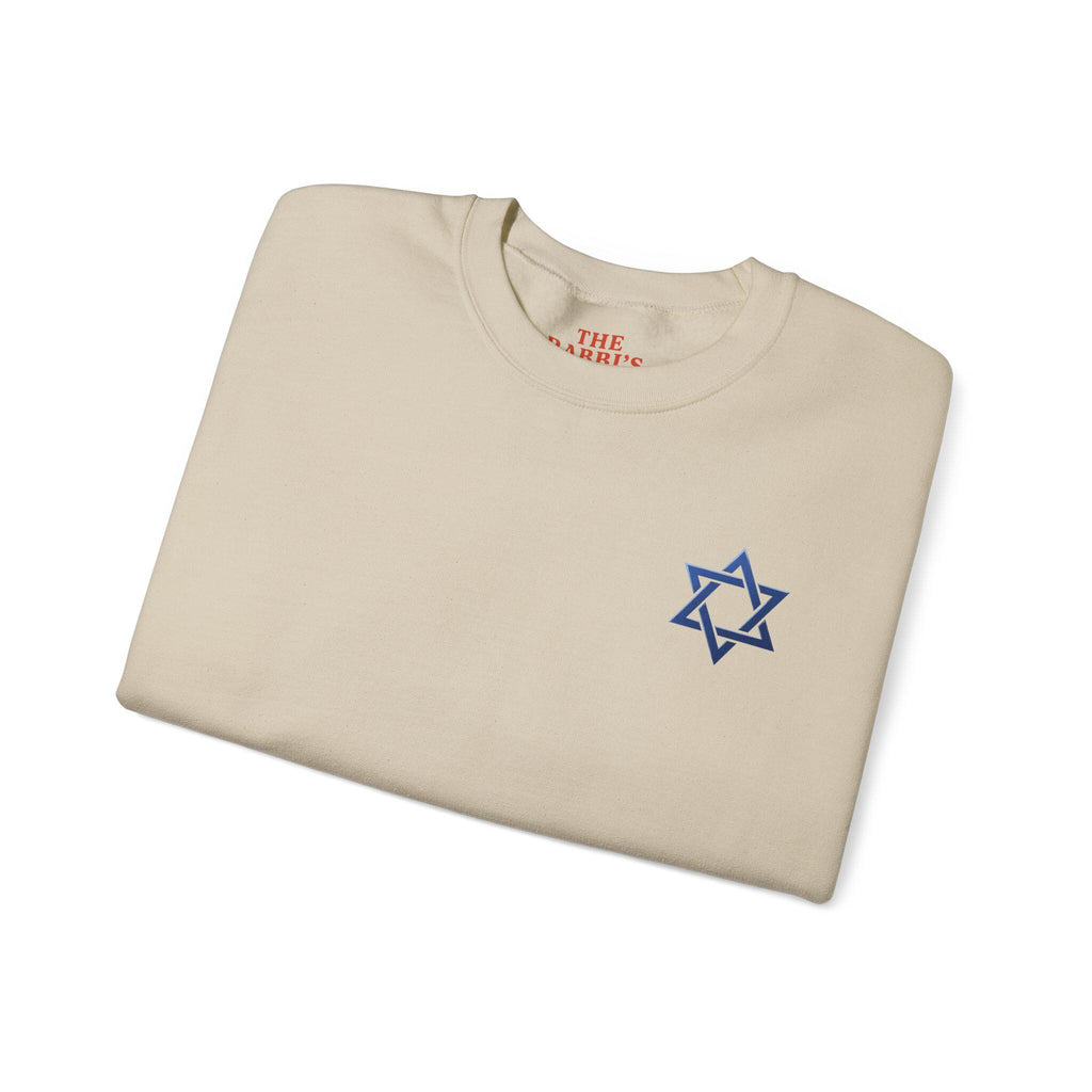 Haters Gonna Schmate Sweatshirt, Retro Jewish Crewneck, Star of David Graphic